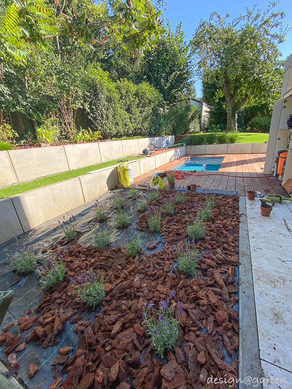 Sauna-Tauchbecken oder  Minipool in Augsburg 29