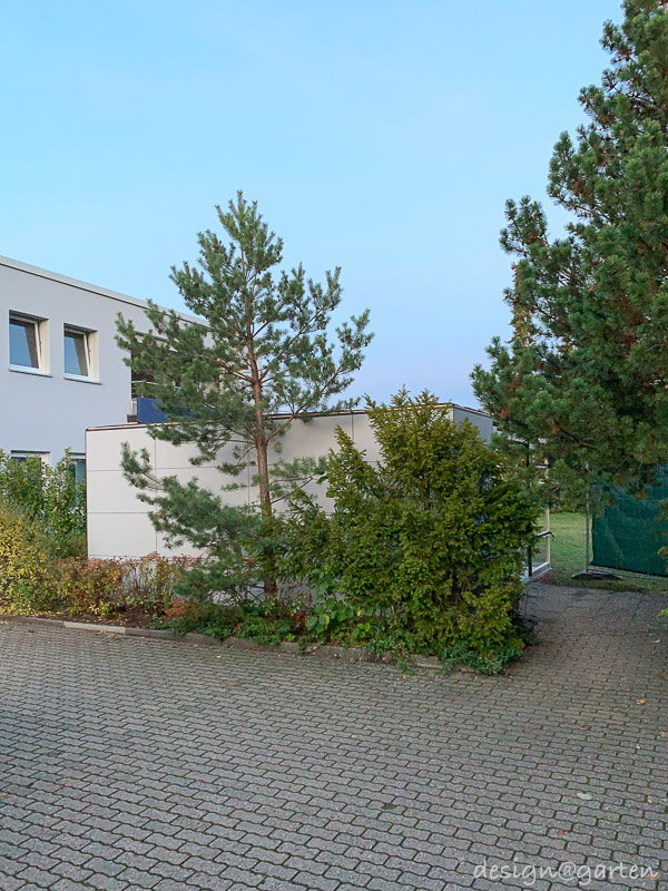 Multifunctional multi-room concepts as a structured replacement for basements in outdoor areas 10