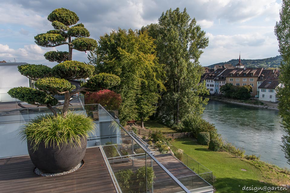 Combinación funcional en Mellingen: soluciones individuales para la azotea