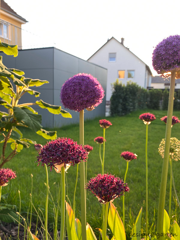 Cobertizo de jardín minimalista con techo plano: la arquitectura se une al espacio de almacenamiento