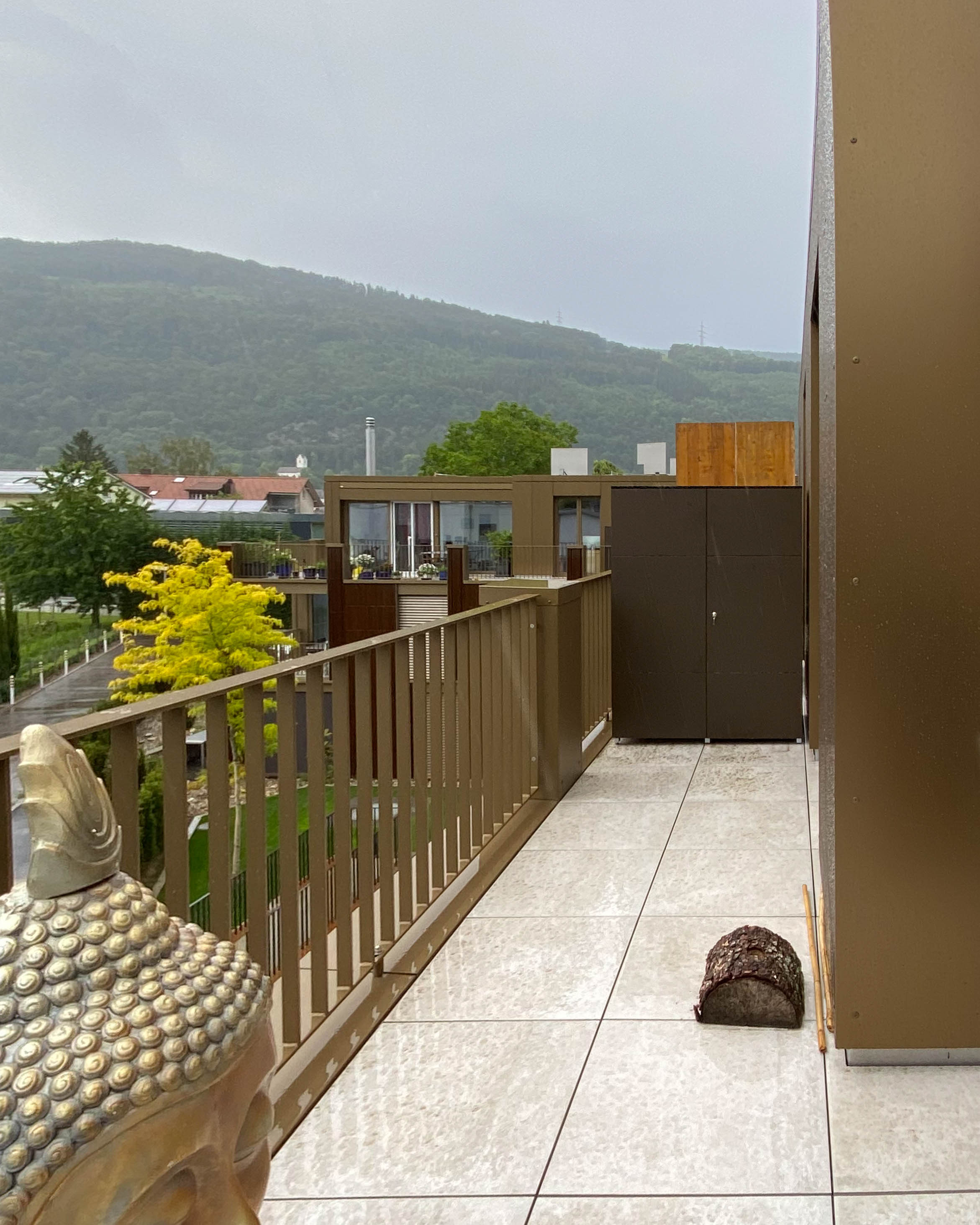 Armario exterior bajo la lluvia 1