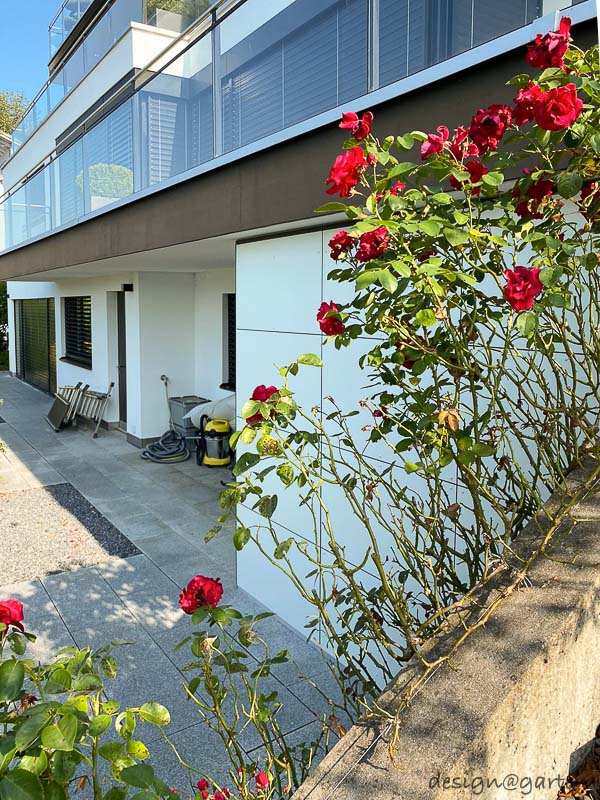 Abri de jardin cubiste à toit plat, solution double au bord du lac de Zurich