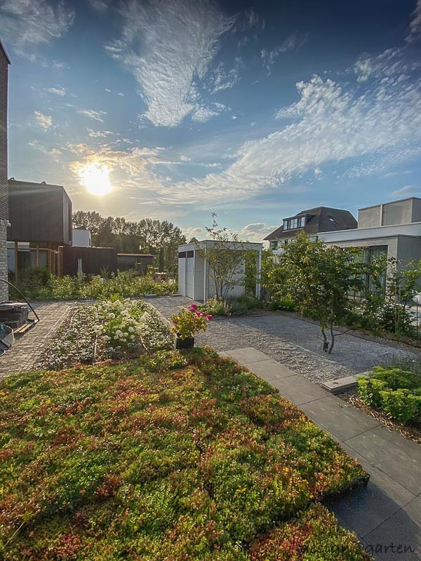 Abri de jardin design avec pergola à Nimègue, Pays-Bas 6