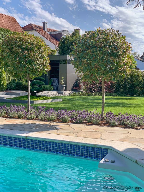 Relax e tranquillità in un giardino paradisiaco: un progetto armonioso nel suo insieme 3