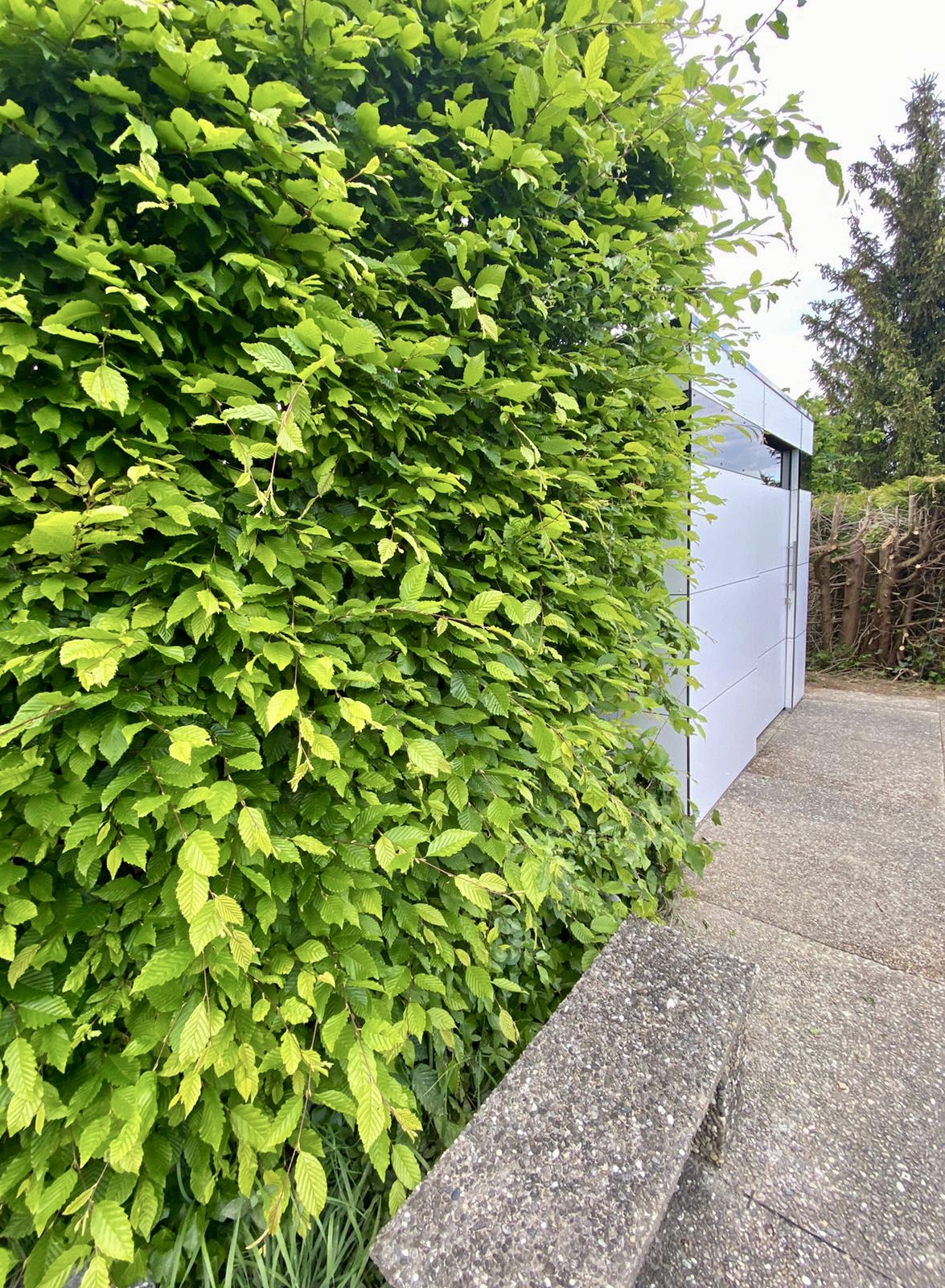 Casetta da giardino in HPL: design intramontabile e trasparenza funzionale 4