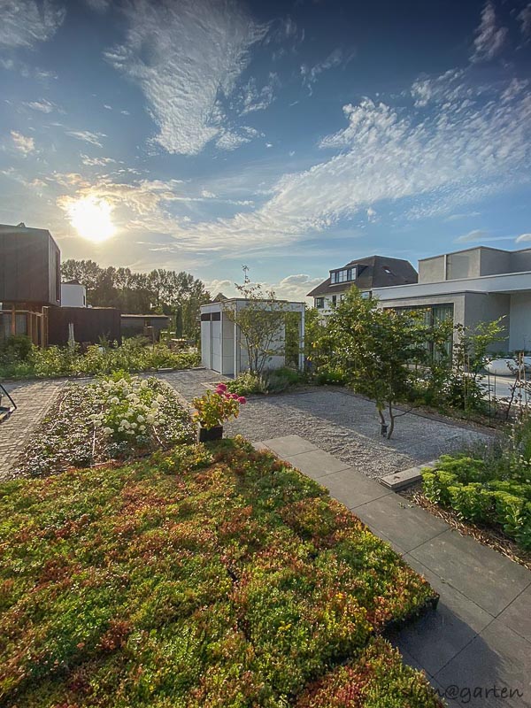 Casetta da giardino di design con pergola a Nimega, Paesi Bassi 4